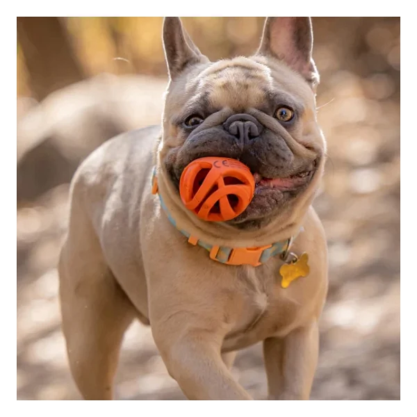 Köpek Oyun Topu Chuckıt! Air Fetch Ball (Orta Boy) - Görsel 10