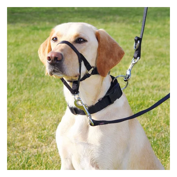 Trixie Uzman Köpek Eğitim Tasması Large 31 Cm - Görsel 2