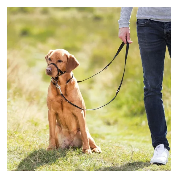 Trixie Uzman Köpek Eğitim Tasması Large 31 Cm - Görsel 3