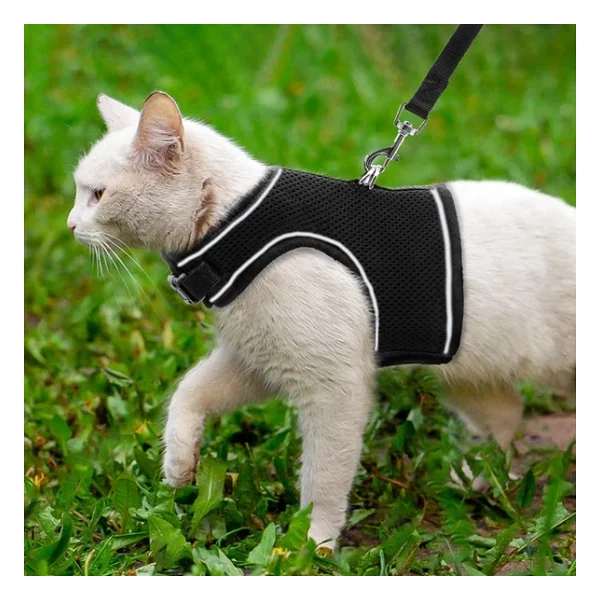 BYPET Yeni Nesil Nefes Alabilen Kedi Göğüs Tasması Seti (Small, Siyah) - Görsel 4
