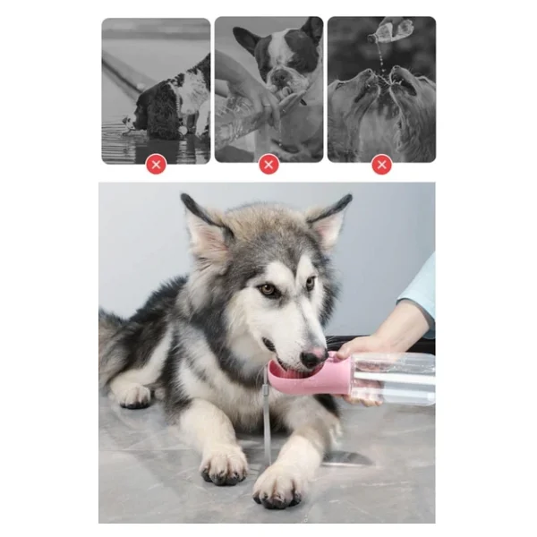 Buffer 3'lü Tenis Topu Kedi Köpek Oyuncağı+ Taşınabilir Evcil Hayvan Suluğu Seyahat Kabı 350 Ml - Görsel 4