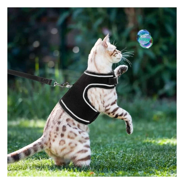 BYPET Yeni Nesil Nefes Alabilen Kedi Göğüs Tasması Seti (Small, Siyah) - Görsel 2