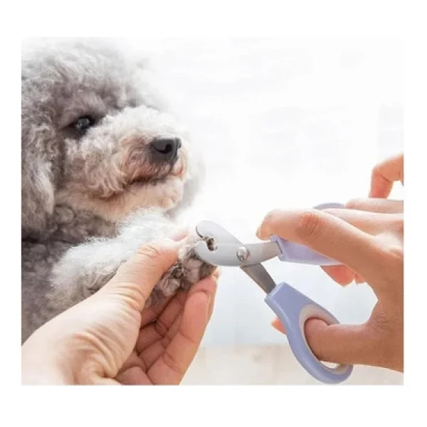 Jouis Kedi Tırnak Makası Çelik Ergonomik Tutuş Evcil Hayvan Köpek Tırnak Makası (Garantili) - Görsel 3