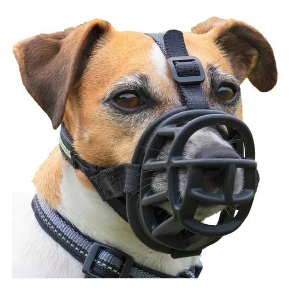 Company of Animals Baskerville Ultra Ağızlık, Boyut 2 - Görsel 2