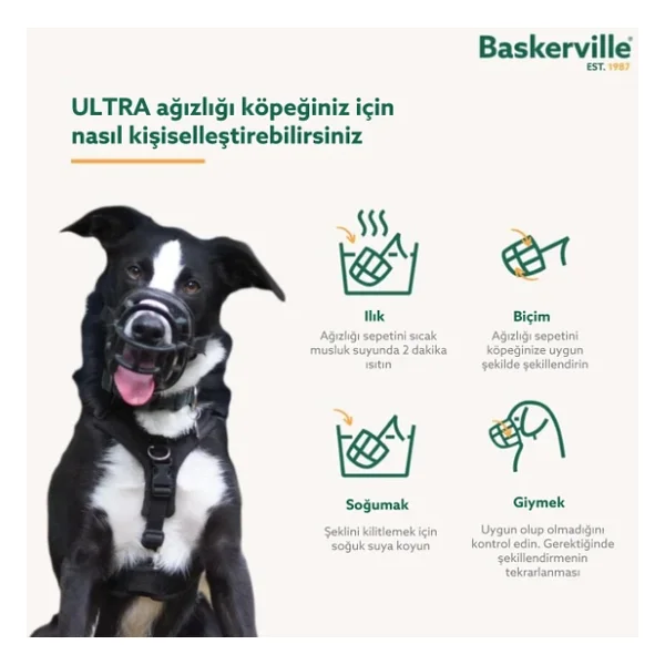 Company of Animals Baskerville Ultra Ağızlık, Boyut 2 - Görsel 5