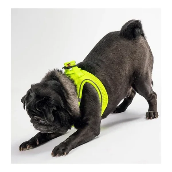 Pawstar Neon Sarı Air-mesh Göğüs Tasması Kedi Köpek Göğüs Tasması Neon Sarı XL - Görsel 2