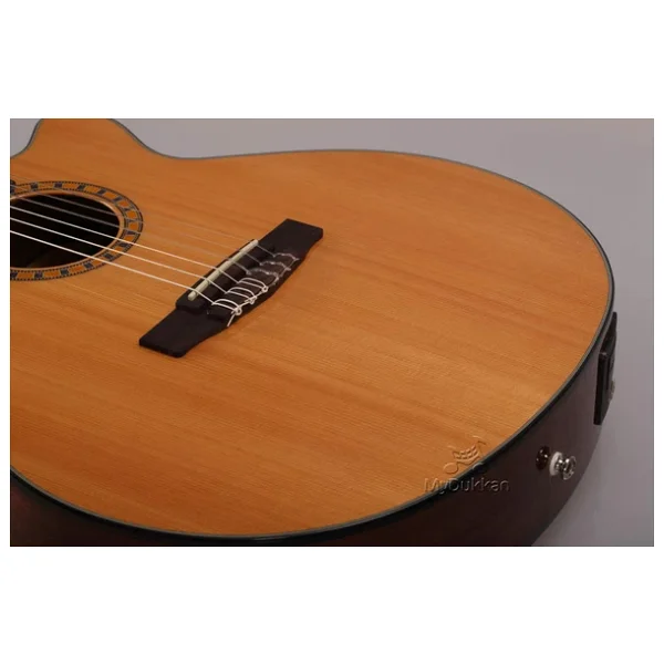 Cort CEC5 Naturel Elektro Klasik Gitar - Görsel 8