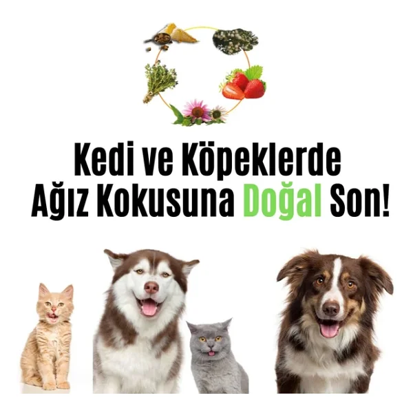 Vetugen %100 Doğal Aktif Bileşenli Kedi ve Köpek Diş Macunu - Görsel 2
