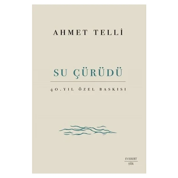 Su Çürüdü - Ahmet Telli - Görsel 5