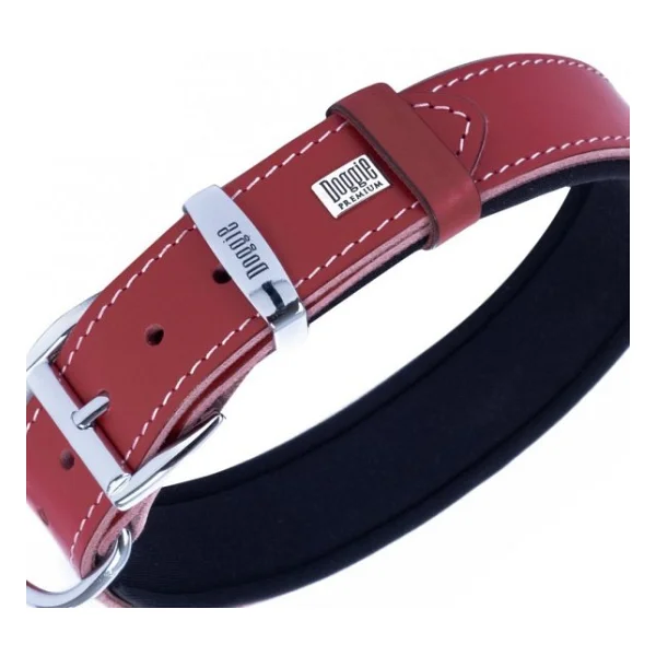 Doggie Comfort Deri Kemik Desenli 4x57-65 cm Köpek Boyun Tasması - Görsel 9