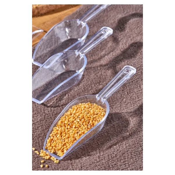 Kitchen Line 6 Adet Baharat Kaşığı - Şeker Reçel Baharatlık Kaşığı Şeffaf Küçük Boy - Görsel 4