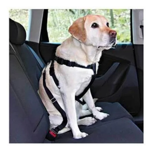 Köpek Emniyet Kemeri Medium 50-70 Cm - Görsel 3