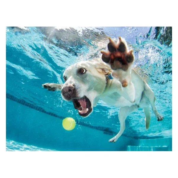 Prime 3D Su Altında Köpek Daisy 100 Parça Puzzle 20508 - Görsel 2