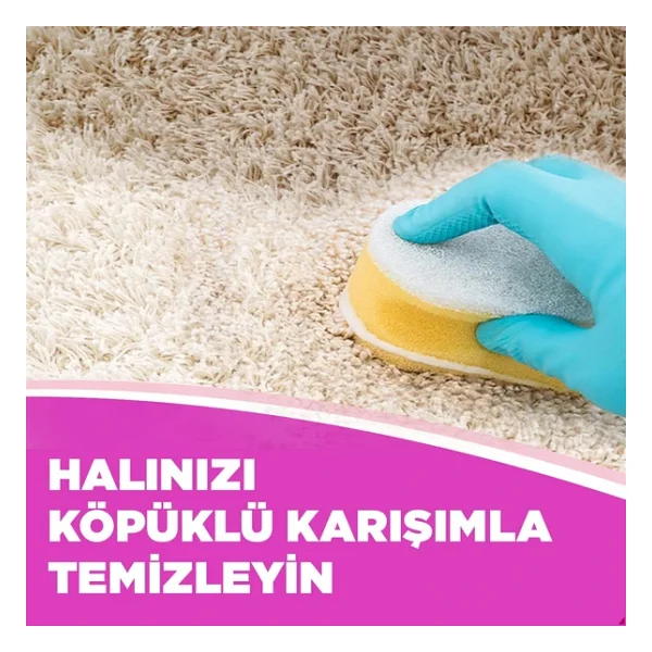 Vanish Kosla Zorlu Lekelere Özel Leke Çıkarıcı Halı Yıkama Şampuanı 850 ml - Görsel 7