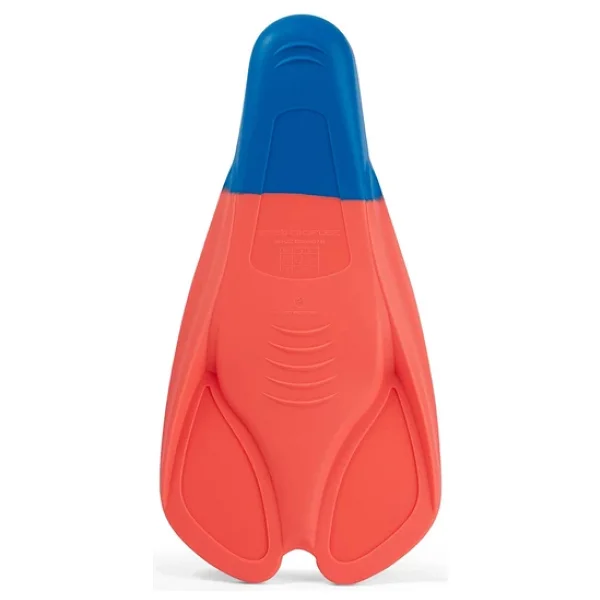 Speedo Biofuse Training Kısa Yüzme Paleti - Görsel 3