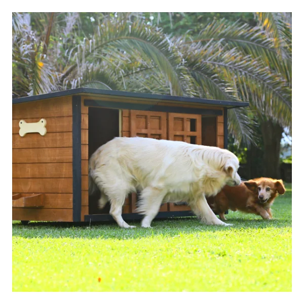 Mandu Ahşap İkiz Köpek Kulübesi - Görsel 5