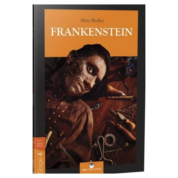 Frankenstein - Mary Shelley - Görsel 7