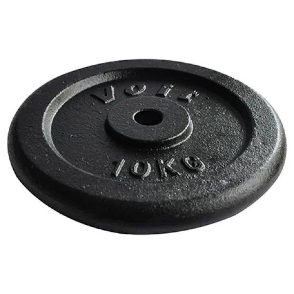 Voit PL101 10 kg Döküm Flanş - Görsel 6