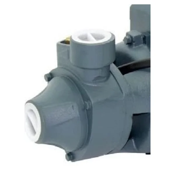 Rain Pump QB80 Santrifüj Pompa - Görsel 2