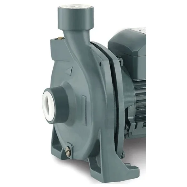 Rain Pump CPM158 Santrifüj Pompa - Görsel 2