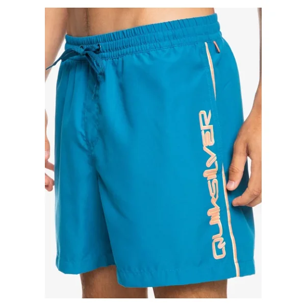 Quiksilver Everyday Vert 16" Erkek Deniz Şortu - Görsel 6