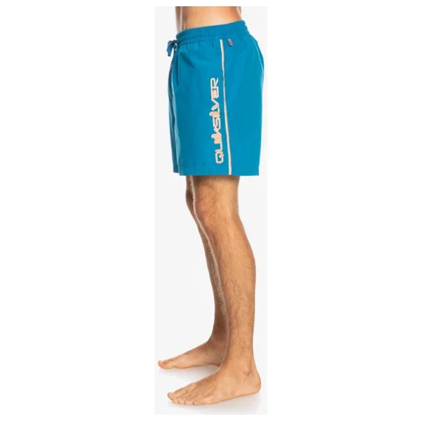 Quiksilver Everyday Vert 16" Erkek Deniz Şortu - Görsel 5
