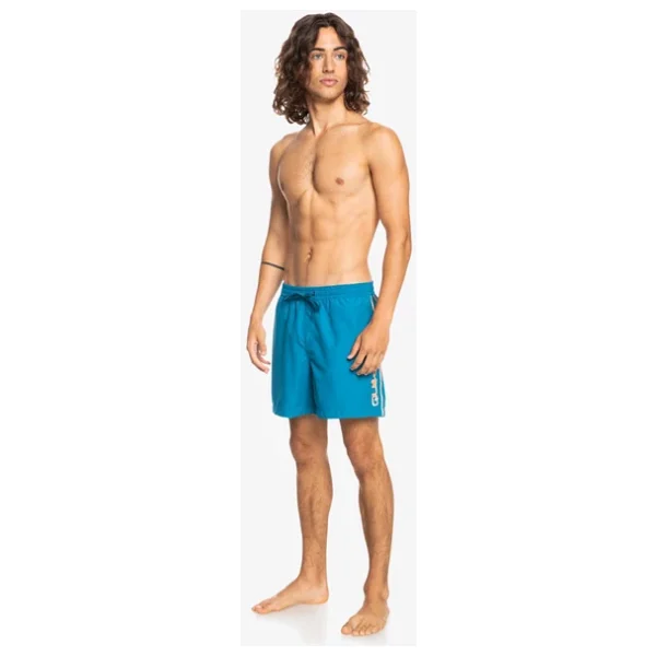Quiksilver Everyday Vert 16" Erkek Deniz Şortu - Görsel 7