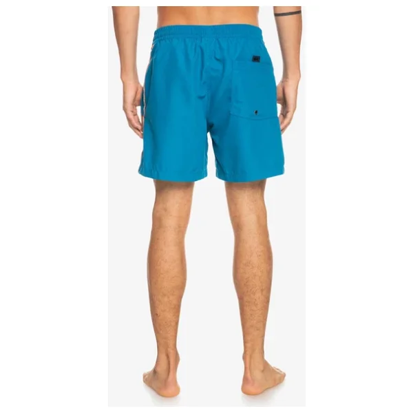 Quiksilver Everyday Vert 16" Erkek Deniz Şortu - Görsel 8