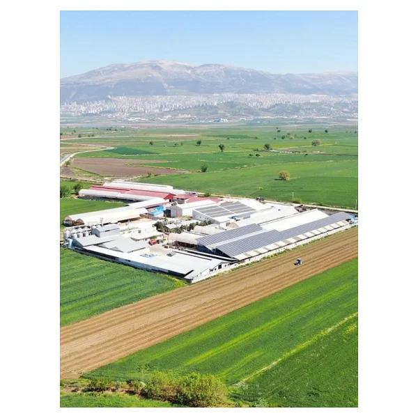 Sade Yağ 800 Gr - Görsel 4