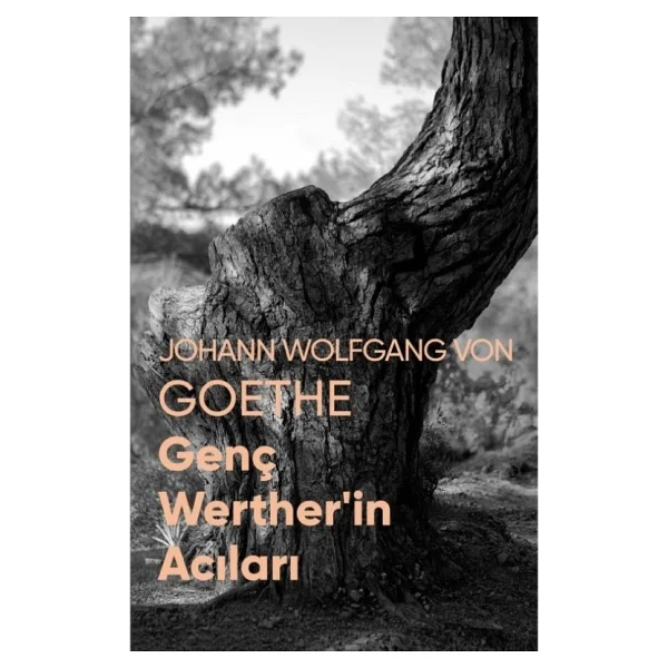 Genç Werther'in Acıları - Johann Wolfgang Von Goethe Can Yayınları - Görsel 5