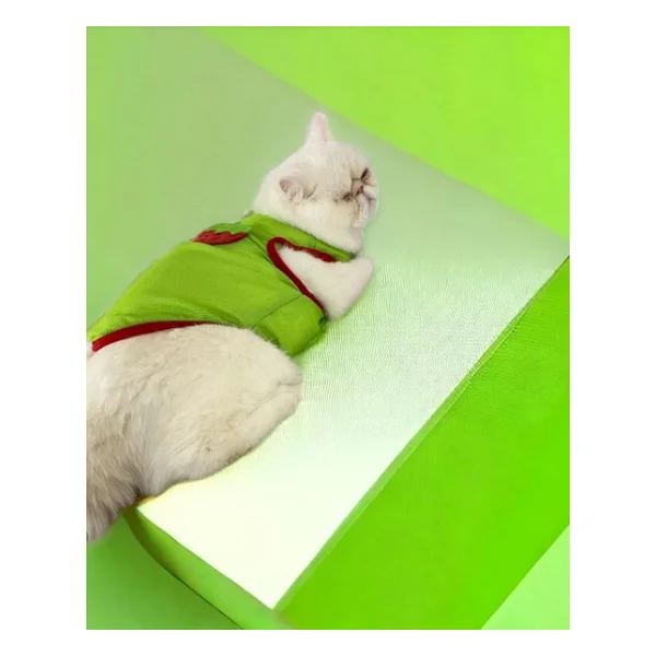 Pink Strawberry Atlet Kedi Kiyafeti Kedi Elbisesi - Görsel 7