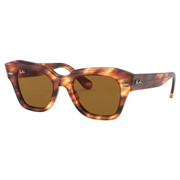 Ray-Ban State Street 2186 954/33 Havana-Brown Güneş Gözlüğü - Görsel 8
