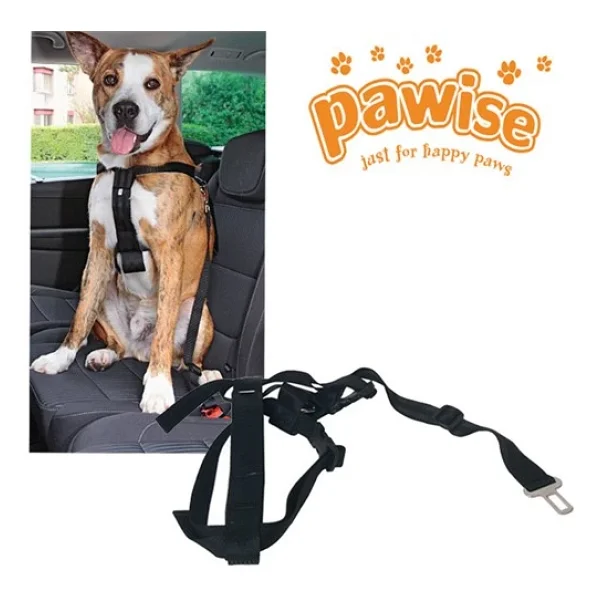 Pawise Emniyet Kemer Tokalı Tasma S 30-60 Cm - Görsel 2