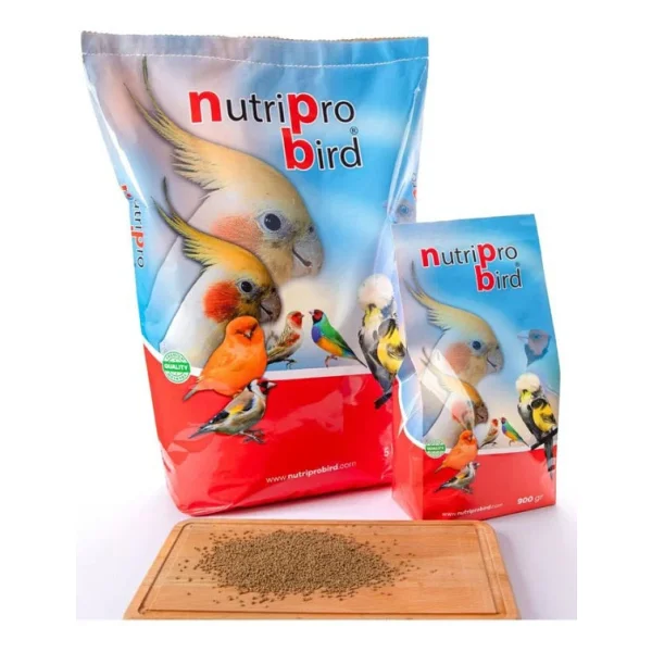 Kanarya Pelet Yem 5 Kg - Görsel 3