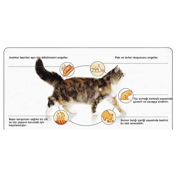 Pro Plan Derma Care Somonlu 1 kg Yetişkin Kedi Maması - Açık Paket - Görsel 5