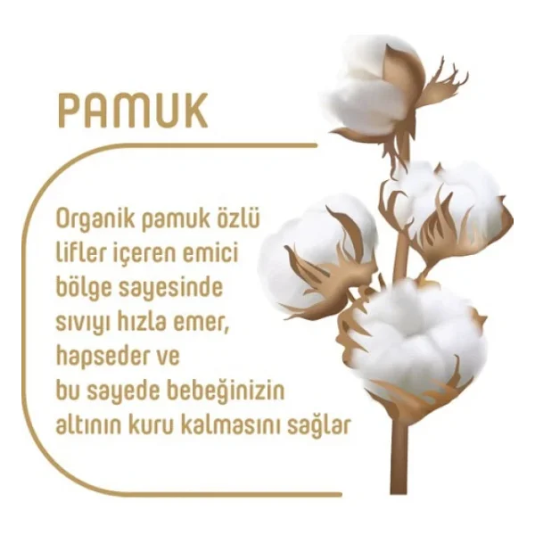 Pure Baby Organik Pamuklu 1 Numara Yenidoğan 64'lü 2 Adet Bebek Bezi - Görsel 5