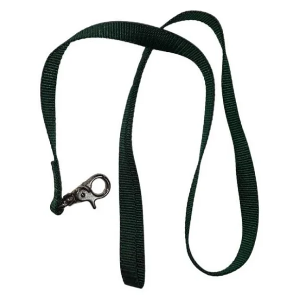 Lovely Kedi Köpek Şerit Gezdirme Kayışı Yeşil 1,5 cm 120 cm - Görsel 4