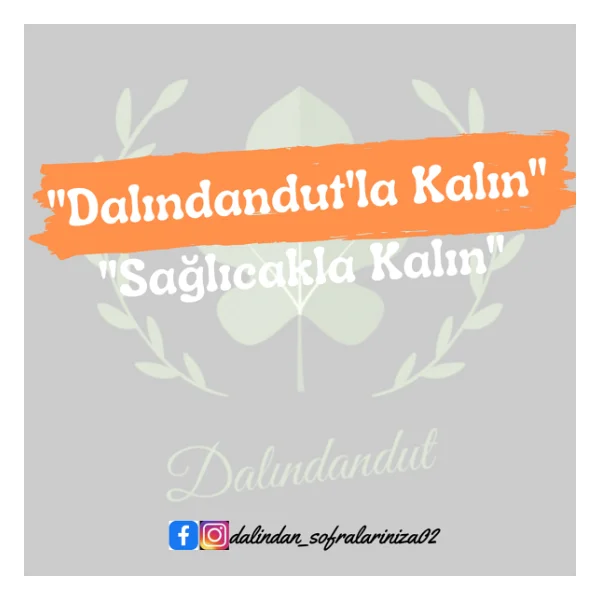 Dalındandut Organik Fındık İçi 250 gr - Görsel 3