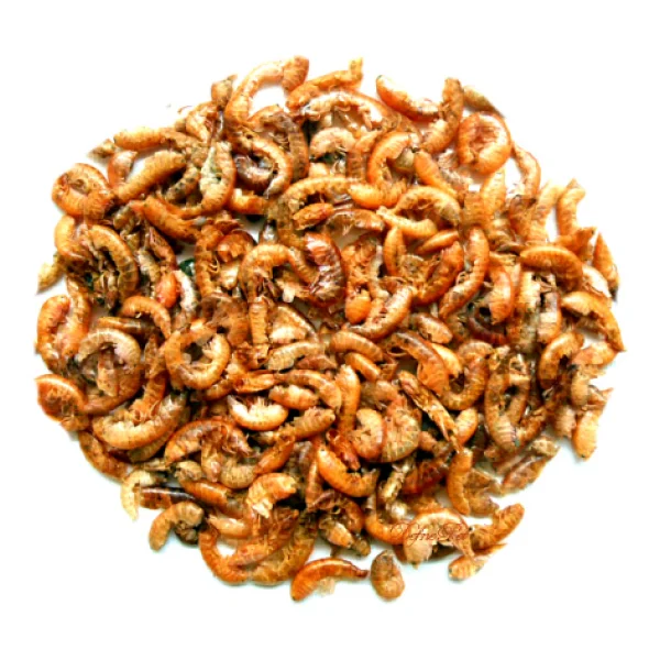 Lotus Gammarus Turtle 250 Ml Sürüngen Ve Kaplumbağa Yemi - Görsel 2
