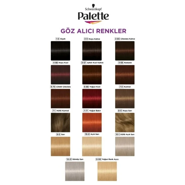 Palette Göz Alıcı Renkler 1.0 Siyah 2 Adet Saç Boyası - Görsel 7