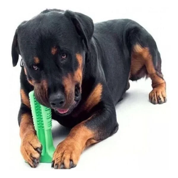 Köpek Diş Fırçası Isırma Aparatı Diş Kaşıma Oyuncağı Küçük Boy - Görsel 3