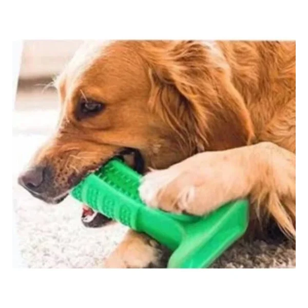 Köpek Diş Fırçası Isırma Aparatı Diş Kaşıma Oyuncağı Küçük Boy - Görsel 4