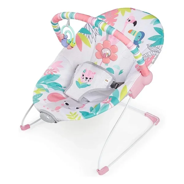 Bright Starts Flamingo Vibes Ana Kucağı - Görsel 4