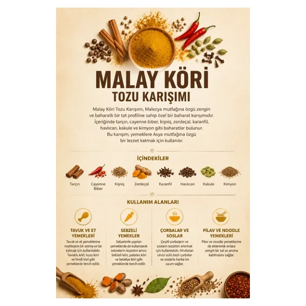 Malay Köri Tozu Karışımı 100 gr (1. Kalite) - Görsel 4