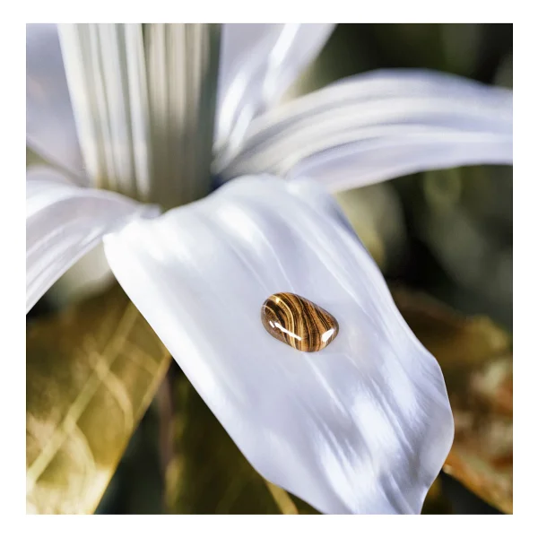 Bvlgari Le Gemme Tygar EDP 60 ml Parfüm - Görsel 5