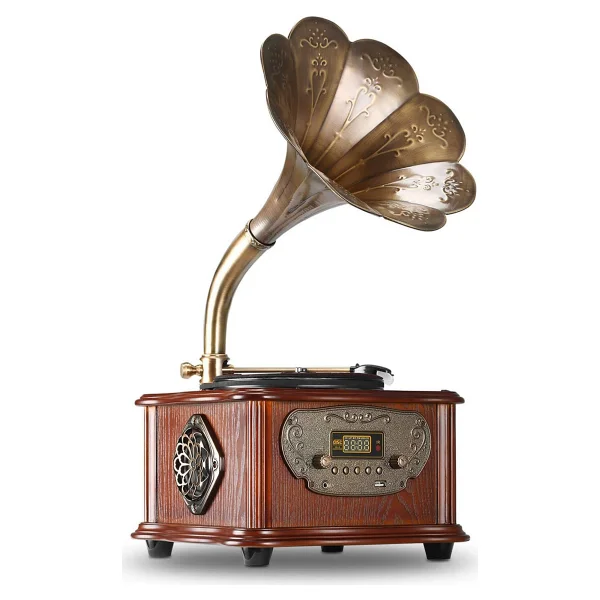 Record Master RMJ-209C FM Radyolu Bluetooth USB Özellikli Gramofon Pikap - Görsel 5
