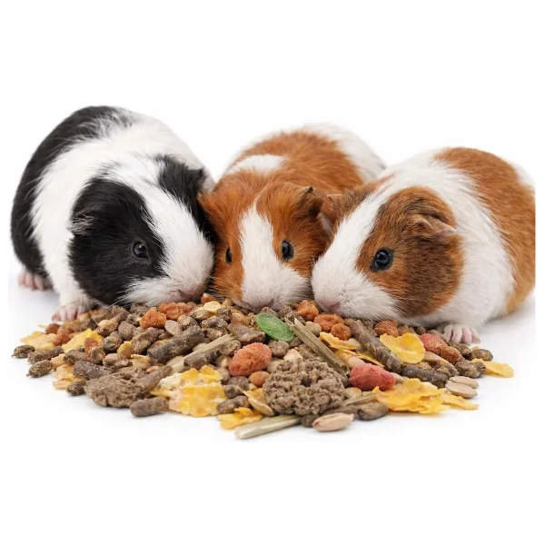 Versele-Laga Crispy Muesli Guinea Pig Kobay Kemirgen Yemi 850 G - Görsel 3