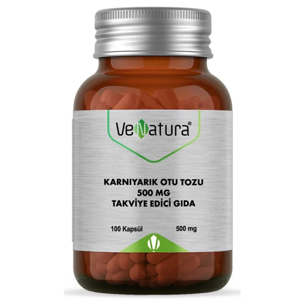 Lokmanavm Limon Tuzu Granül Çakıl 500 gr Paket - Görsel 2