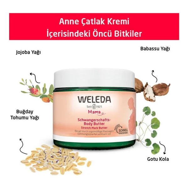 Weleda Anne Çatlak Kremi 150 ml - Görsel 3
