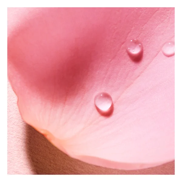 Nuxe Very Rose Vücut Spreyi 100 ml - Görsel 2
